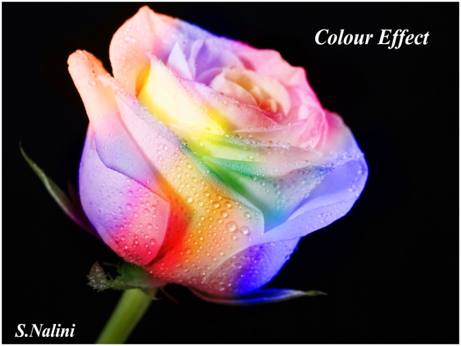 Colour Effect.jpg